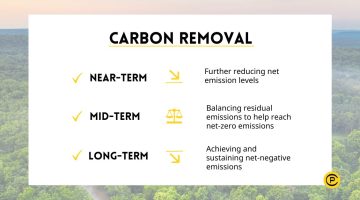 The New IPCC Report – Carbon Removal Narrative