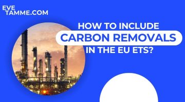 How to Include Carbon Removals in the EU ETS?