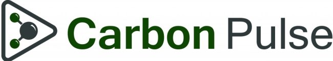 carbon pulse logo